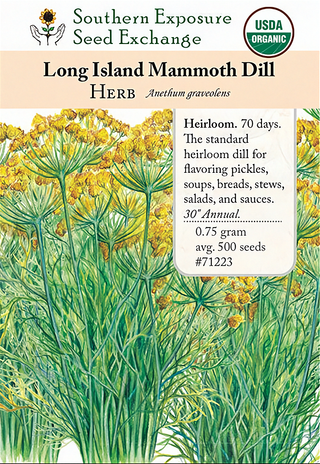 71223 - Dill, Long Island Mammoth