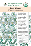 01180 - Sweet Alyssum