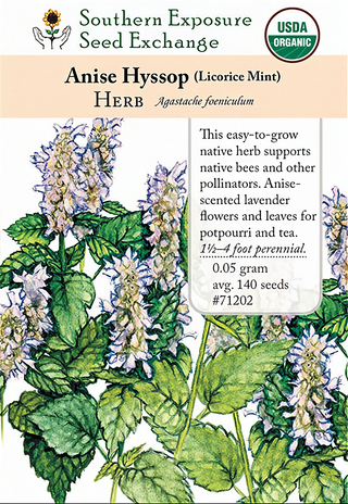 71202 - Anise-Hyssop