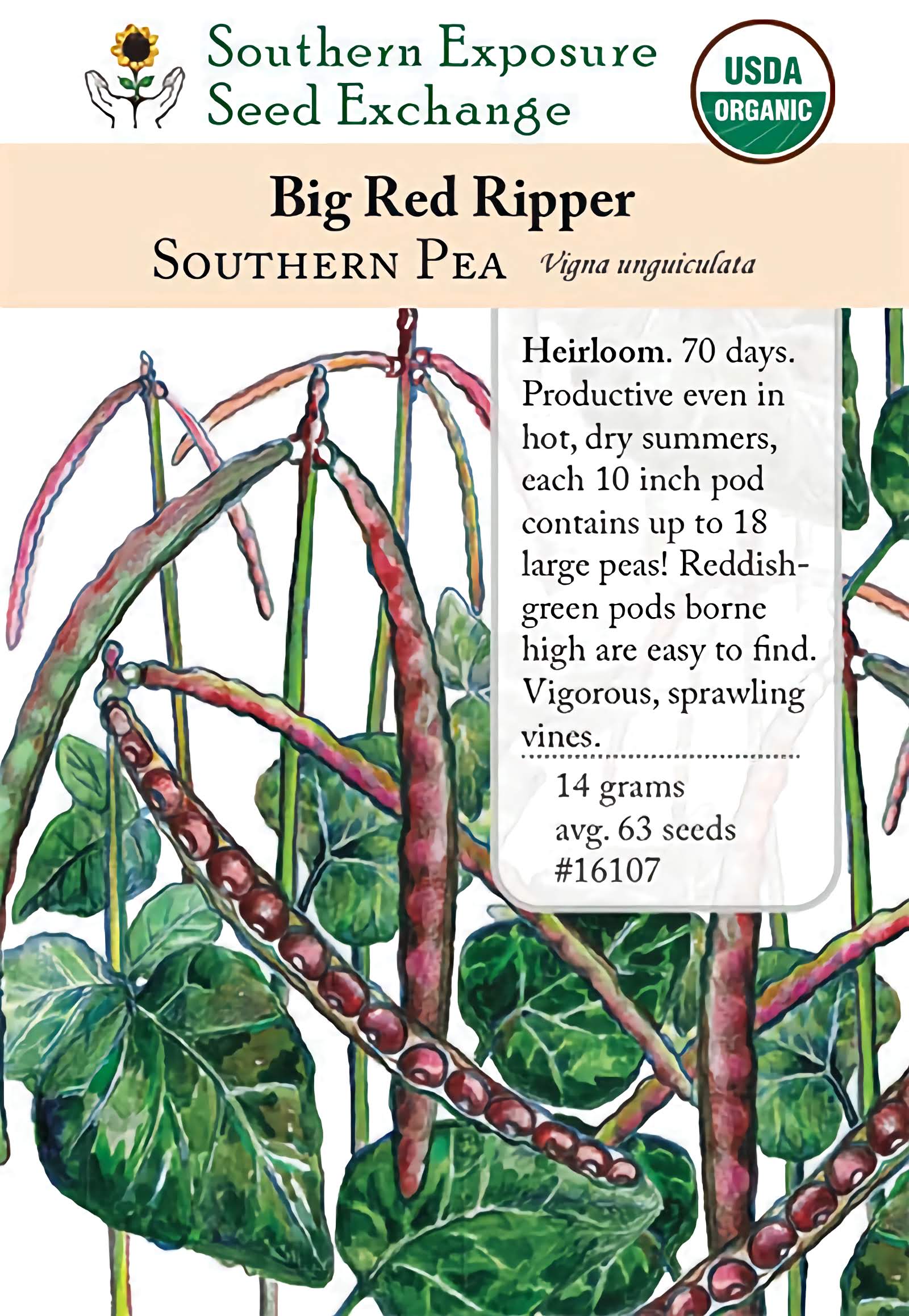 the biggest plant seed 16107 - Big Red Ripper (Mandy) – Southern Exposure Seed Exchange