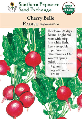 28103 - Cherry Belle