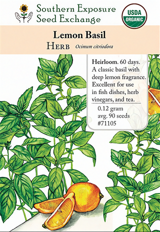 71105 - Basil, Lemon