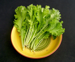 27103 - Southern Giant Curled