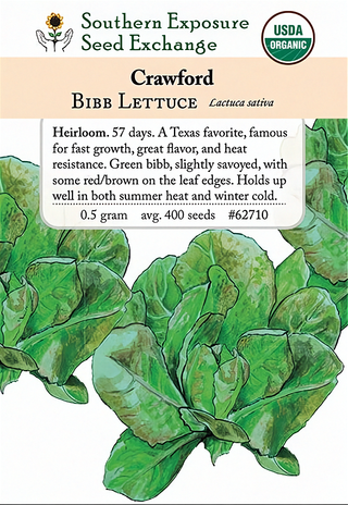62710 - Crawford Bibb (Butterhead)