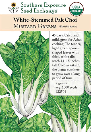 22504 - White-Stemmed Pak Choi