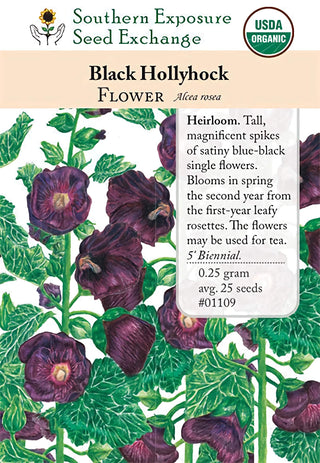 01109 - Hollyhock, Black