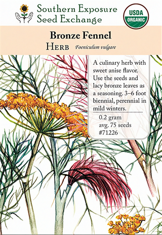 71226 - Fennel, Bronze