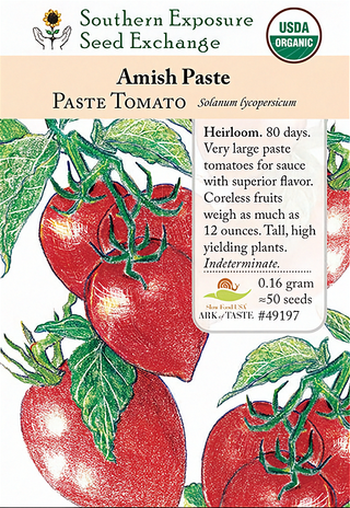 49197 - Amish Paste