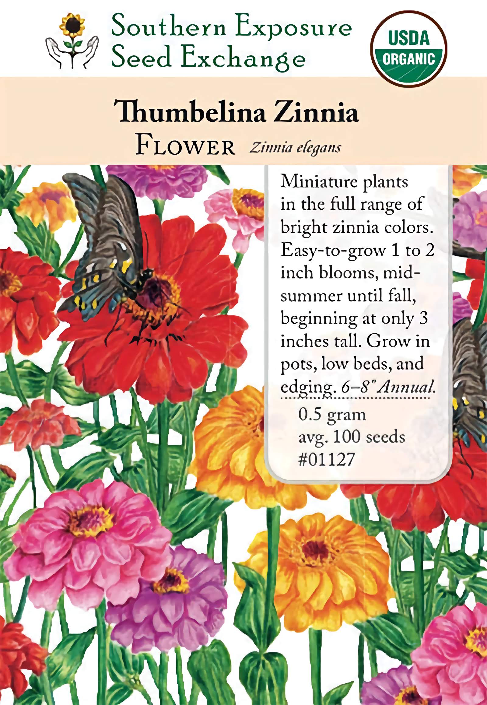 zinnia flower seeds 01127