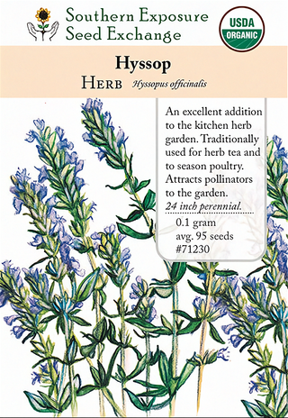 71230 - Hyssop
