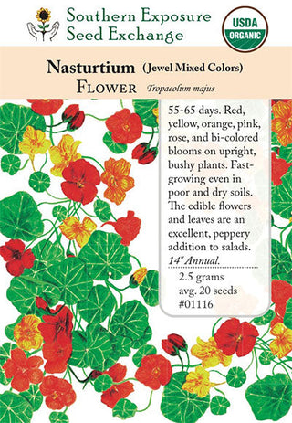 01116 - Nasturtium, Jewel Mixed Colors