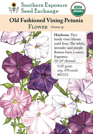 01131 - Petunia, Old Fashioned Vining