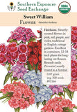 01166 - Sweet William