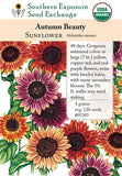 05301 - Sunflower, Autumn Beauty