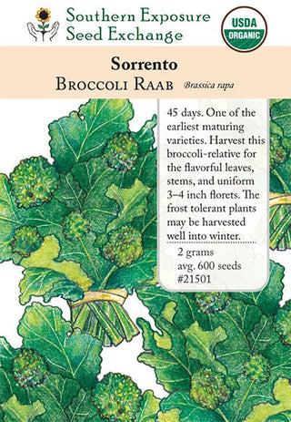 21501 - Sorrento