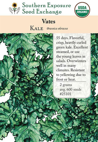 25101 - Vates