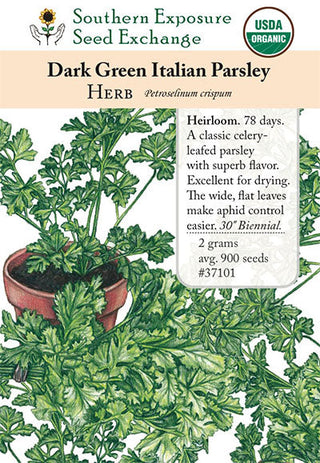 37101 - Dark Green Italian (Plain Leaf)