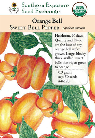 46120 - Orange Bell
