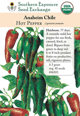 Anaheim Pepper: A Mild and Versatile California Chili - Isabel Eats
