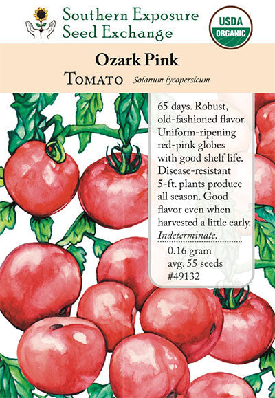 rosada tomato seeds usa Ozark Pink VF Tomato