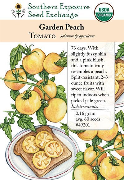 southern garden seeds Tomato Plant 'Garden Peach'