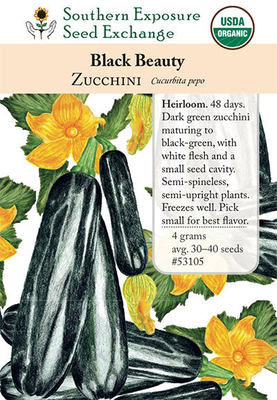 zucchini plant seeds 53105 - Zucchini, Black Beauty – Southern Exposure Seed Exchange