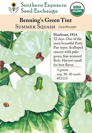53115 - Benning's Green Tint