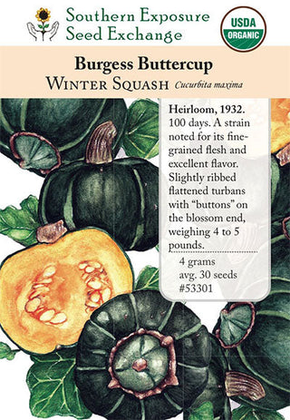 53301 - Buttercup, Burgess