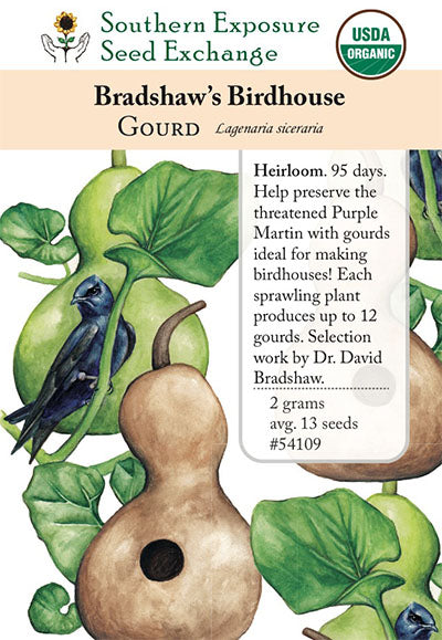 planting birdhouse gourd seeds 54109