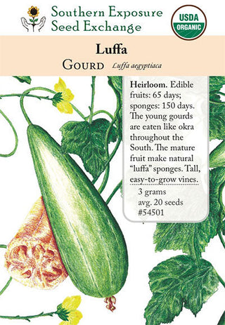 54501 - Luffa (Loofah)
