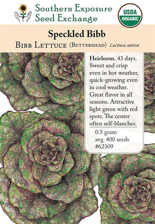 62309 - Speckled Bibb