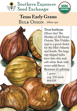 66104 - Texas Early Grano