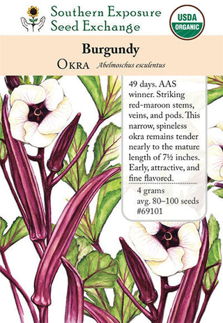 69101 - Burgundy