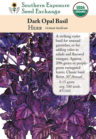 71103 - Basil, Dark Opal