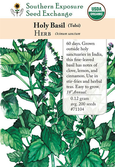 holy basil plant seeds Kapoor Tulsi (Holy Basil)
