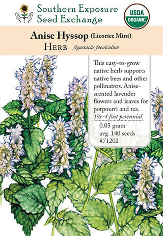 71202 - Anise-Hyssop
