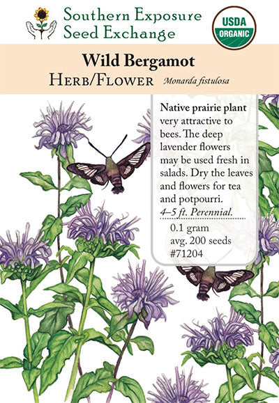 bergamot flower seeds 71204 - Bergamot, Wild – Southern Exposure Seed Exchange