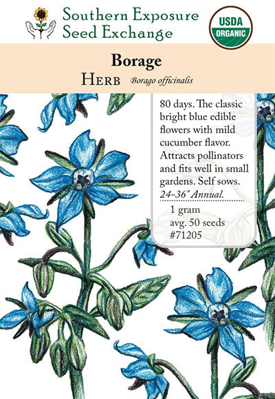 borage plant seeds Borage from Seedtime