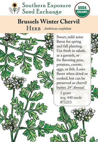 71213 - Chervil, Brussels Winter