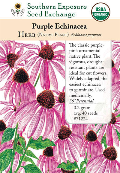 echinacea herb seeds 71224 - Echinacea Purpurea (Purple Coneflower) – Southern Exposure Seed Exchange