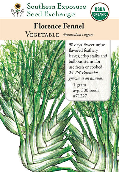 where to buy fennel seeds to plant 71227 - Fennel, Florence – Southern Exposure Seed Exchange