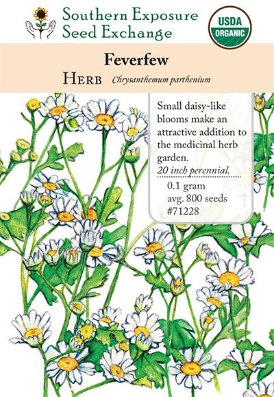 feverfew plant seeds Feverfew from Seedtime