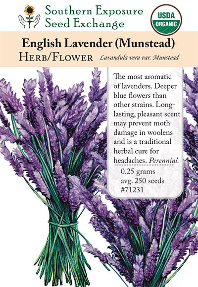 ラベンダーです ™ZX-Lavender Seeds For Home, Balcony, Terrace, Gardening | Outdoor