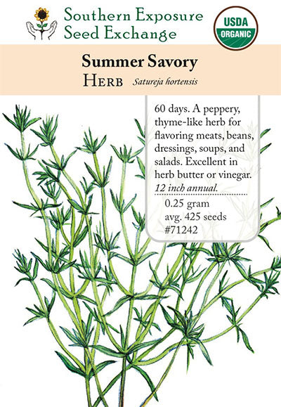 Summer Savory Seeds (Organic)