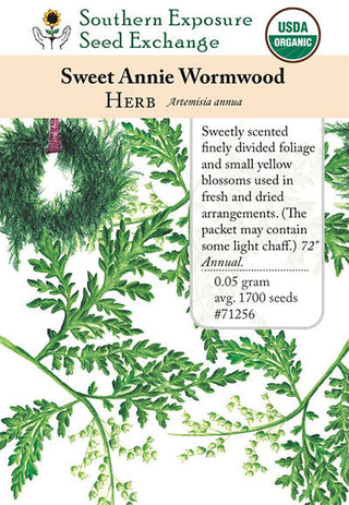 71256 - Wormwood, Sweet (Sweet Annie)