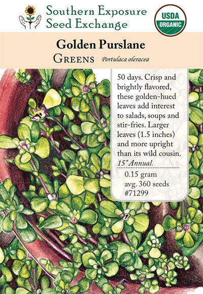 purslane flower seeds 71299
