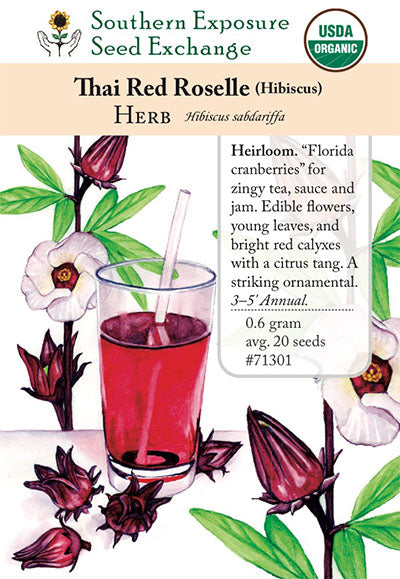 roselle flower seeds 71301