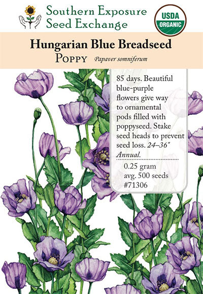 blue poppy flower seeds Breadseed Hungarian Blue Poppy
