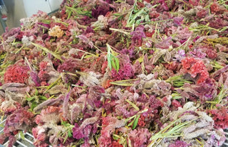 cut flowers strewn across a table