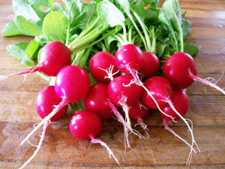 China Rose RADISH, FALL